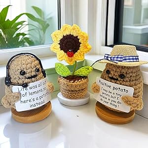 potatoes special gift home gift boyfriend birthday gift ideas sunflower gifts for women